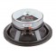 P-audio SN8-200F